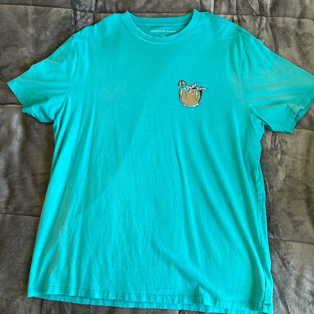 American Eagle Teal Graphic Stitched Tee